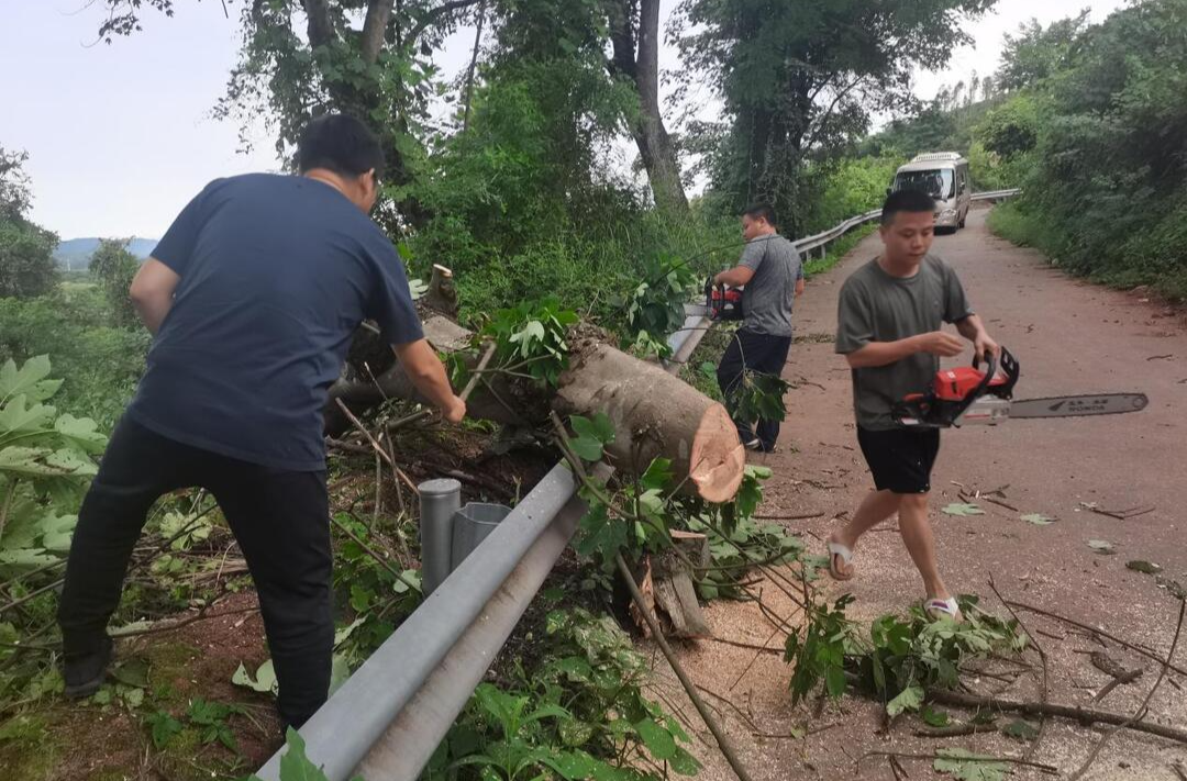 打好安全生产翻身仗丨禾梨坳乡：大风刮倒树木阻道路 及时清理保畅通