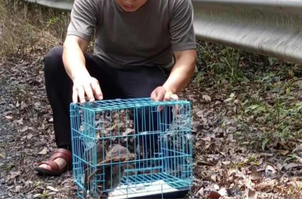 芷江：保护野生动物 守护多样之美