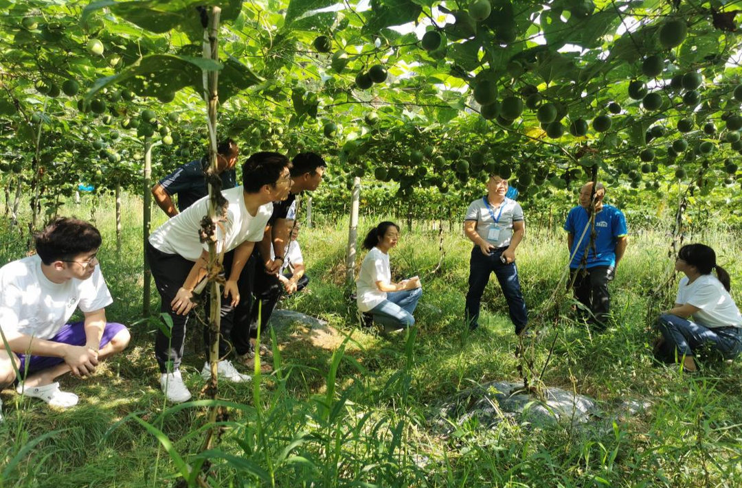 土桥镇：以驿站为媒 汇聚青年力量助力产业兴旺