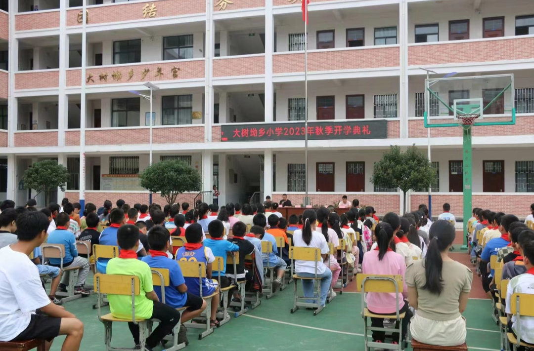 大树坳乡：国防教育进校园，同心共筑强国梦
