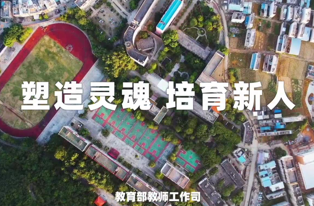 视频丨长大后，我就成了你