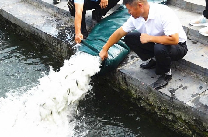 芷江开展2023年鱼类人工增殖放流活动