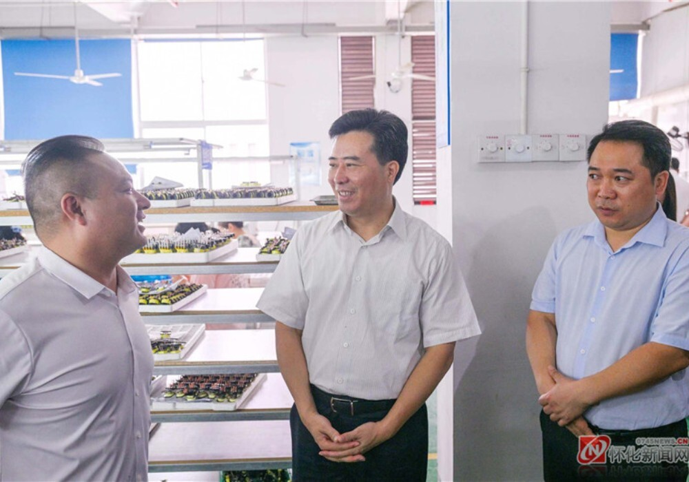 黎春秋在鹤城区调研企业稳岗扩岗促就业工作