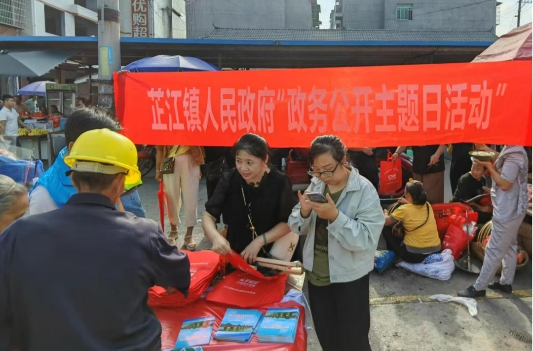 芷江镇开展政务公开主题日活动