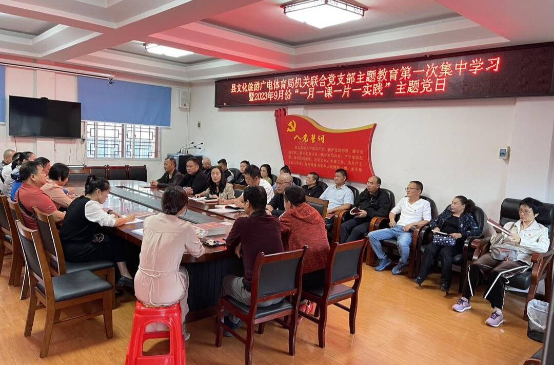芷江文化旅游广电体育局机关联合党支部开展主题党日活动