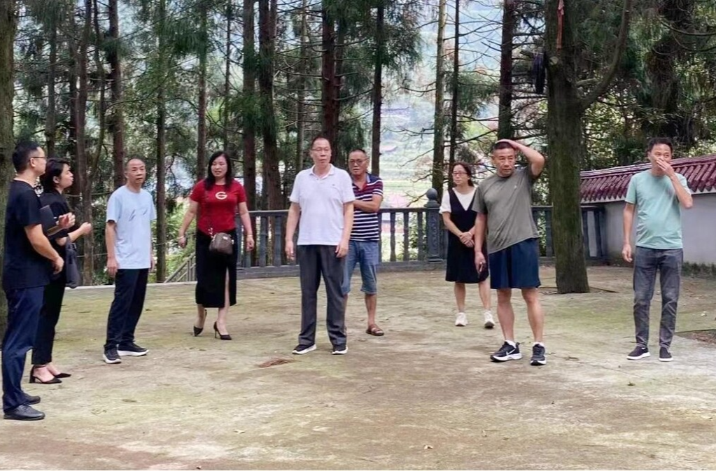 政协委员：大树坳乡“三问三践”履职助振兴