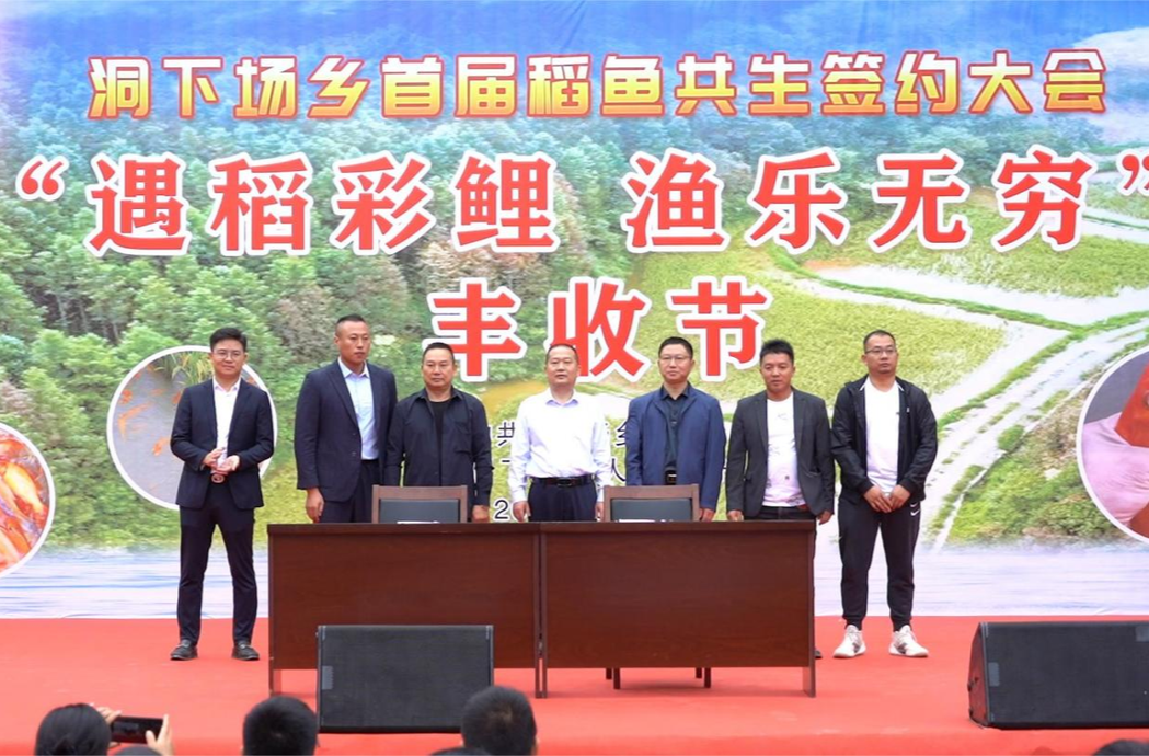 芷江举办首届稻鱼共生产业签约大会暨“遇稻彩鲤 渔乐无穷”丰收节