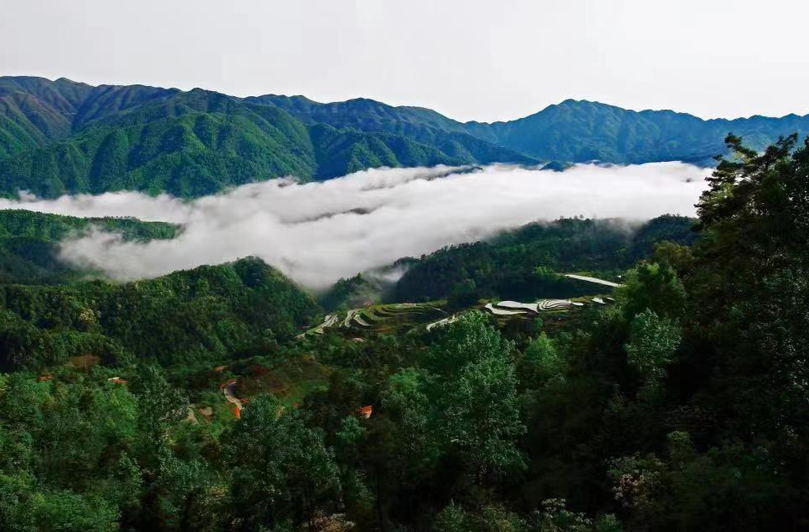 喜报：芷江五郎溪国有林场获评2023年度全国“十佳林场”