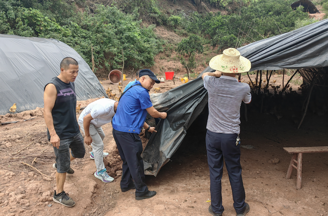 芷江晓坪乡：深入开展“三湘护农” 守住耕地保护红线