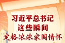 学习进行时丨习近平总书记这些瞬间，定格浓浓家国情怀·豪迈宣示