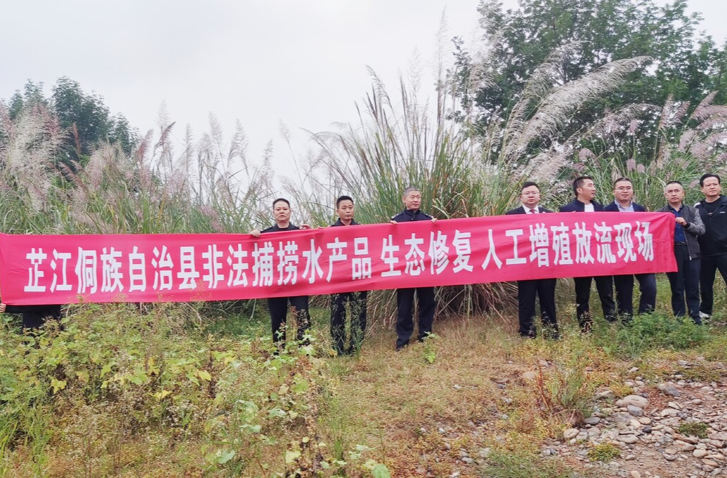 芷江开展渔业生态资源修复行动