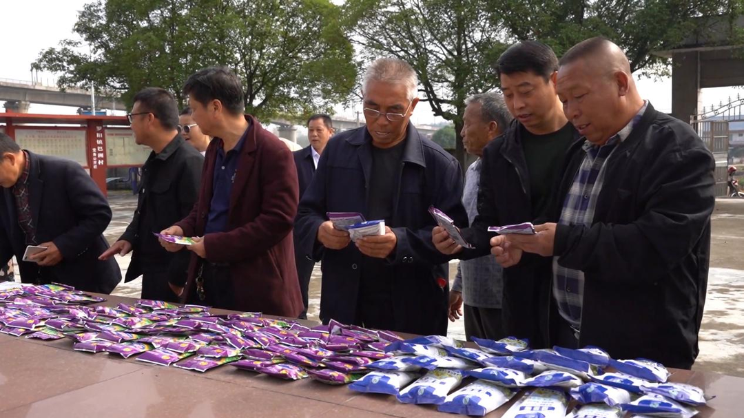 芷江：整治“非粮化” 守牢粮食安全生产底线