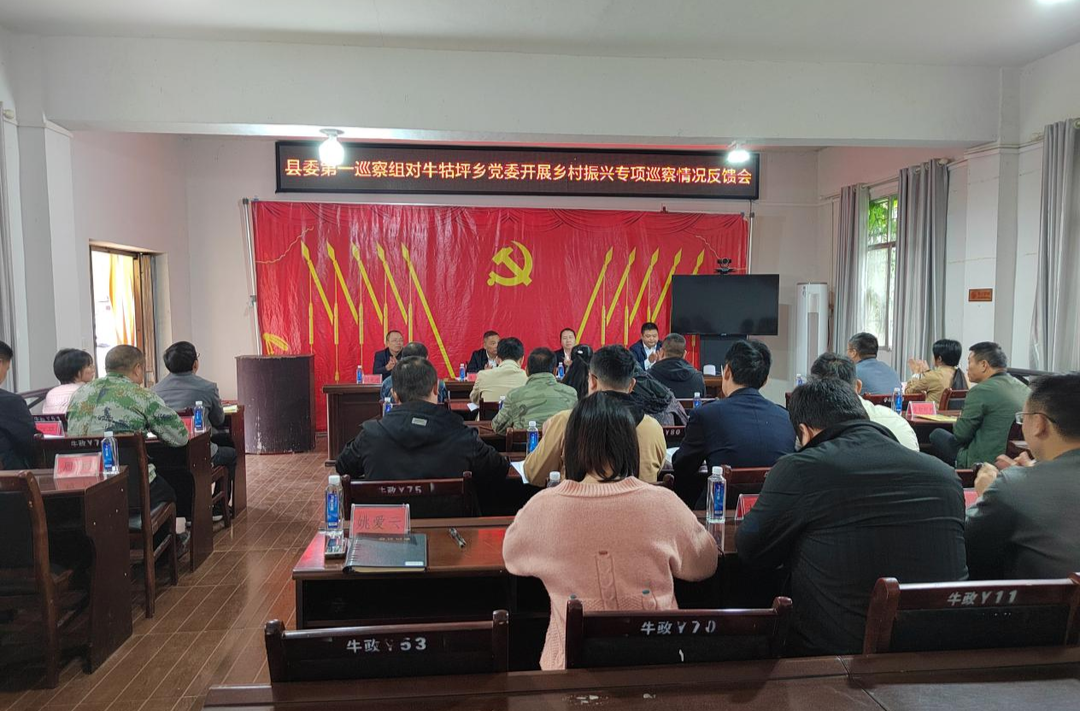 县委第一巡察组对牛牯坪乡党委开展乡村振兴专项巡察情况反馈会召开