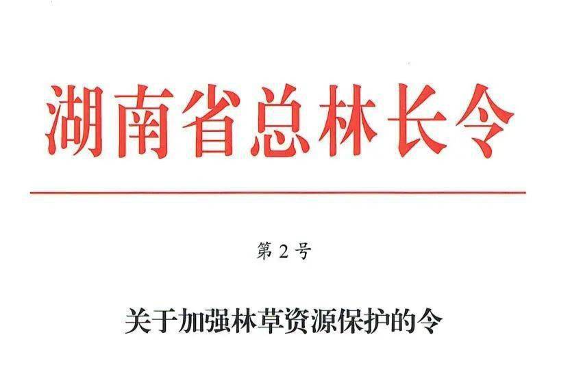 湖南发布第2号省总林长令