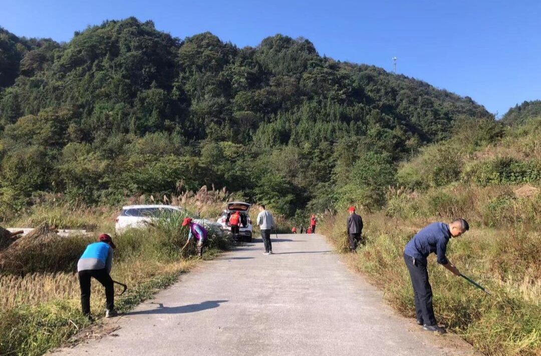 牛牯坪乡：清除杂草 美化环境