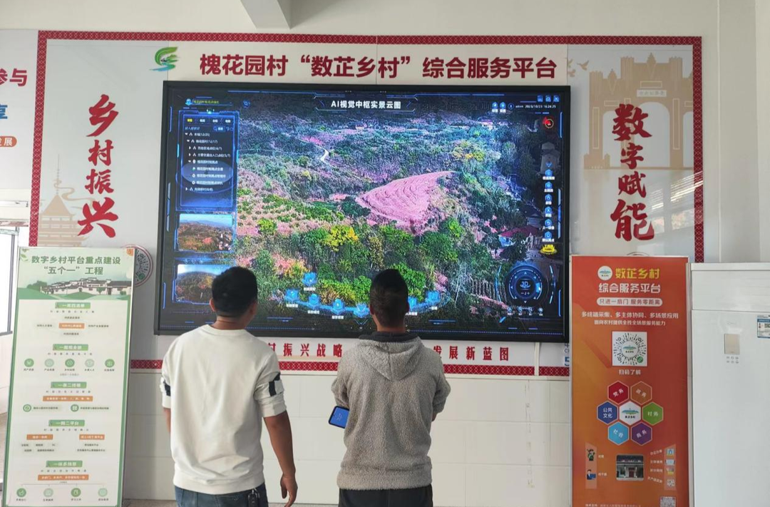 打好安全生产翻身仗丨岩桥镇：数字赋能 森林防火