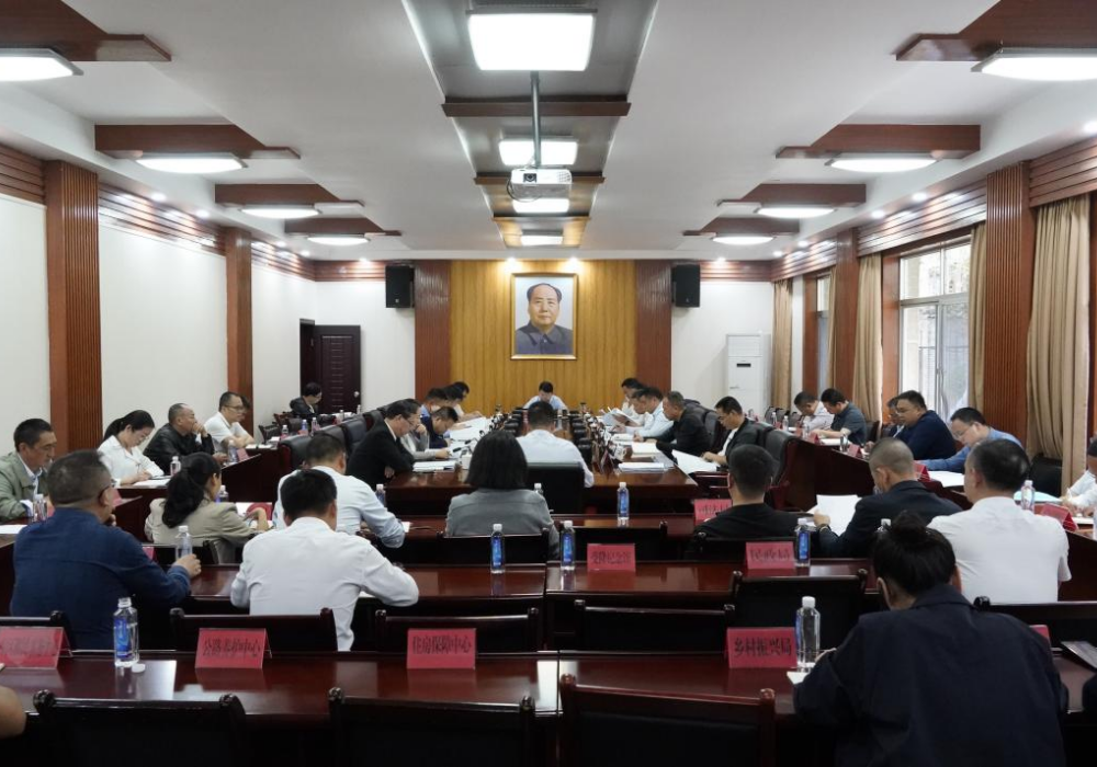 梁志平在书记办公会上强调：坚持开源节流 抢抓政策机遇 切实保障财政平稳运行