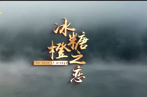 2023中国村歌大赛入围作品《冰糖橙之恋》