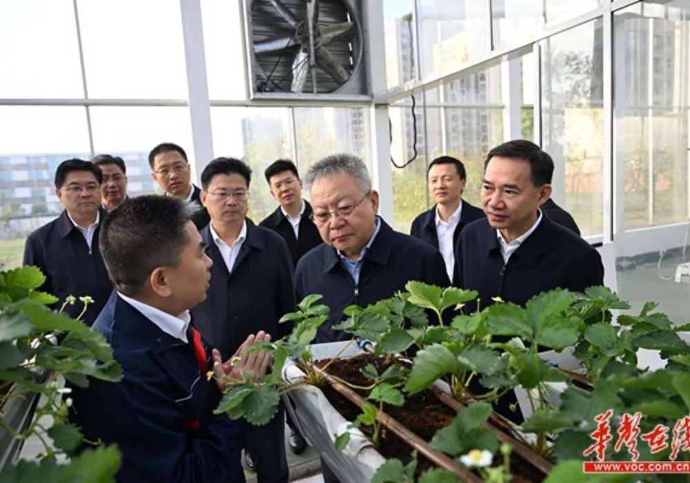 沈晓明在永州调研