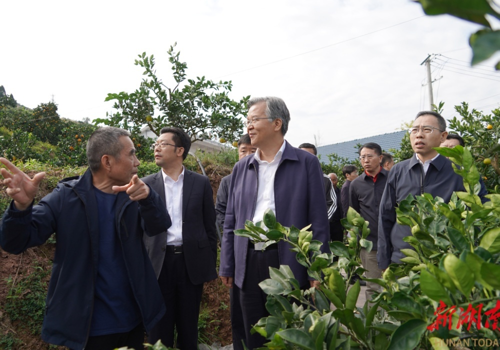 李殿勋：聚焦三项重点任务 大力推进乡村振兴