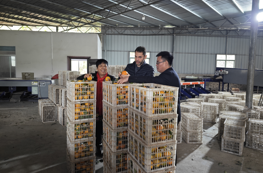 禾梨坳乡何以吸引外商？答案在这里