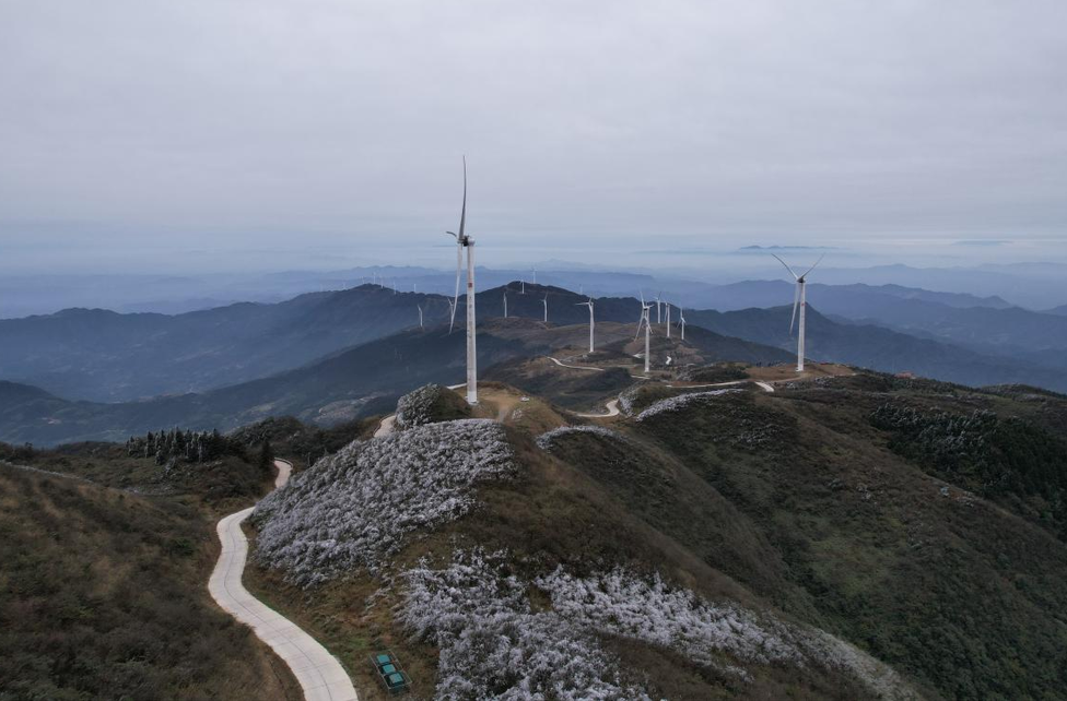 西晃山：冰霜冻花  美不胜收