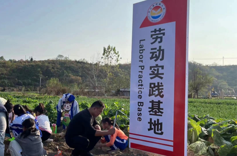 芷江：坚持劳动教育三个“一” 助力双减落地增效