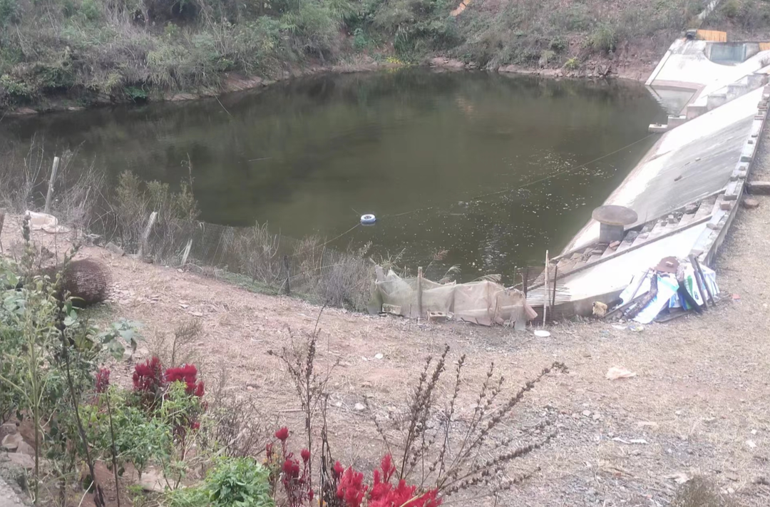 岩桥水路田：党建引领庭院经济 助推产业振兴