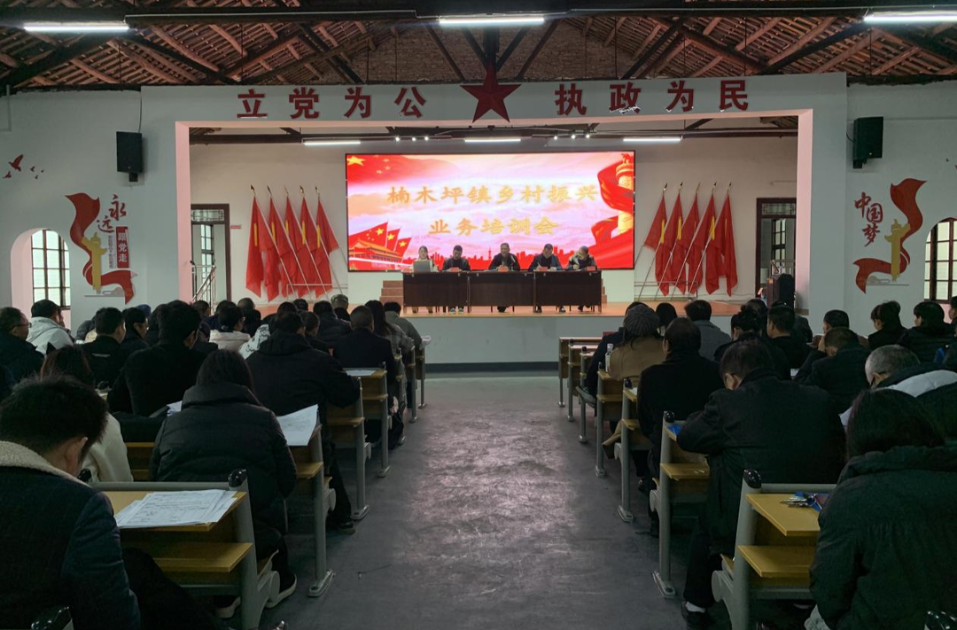 楠木坪镇：加强业务培训 助力乡村振兴