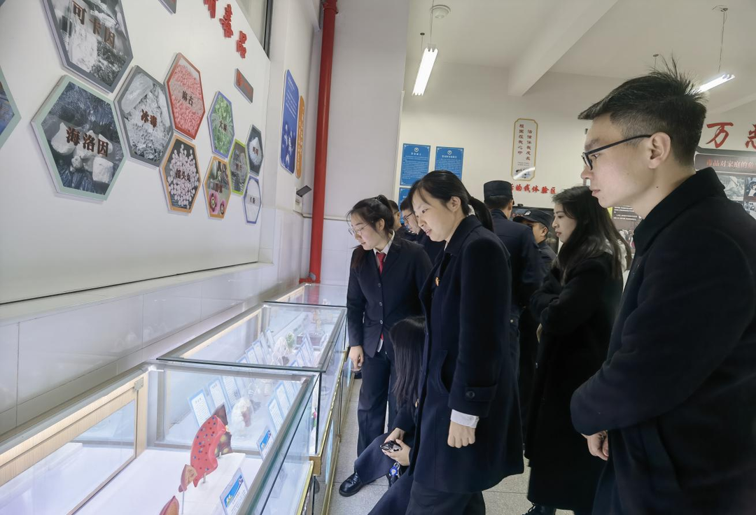 芷江人民法院组织青年干警“沉浸式”观摩禁毒图书角