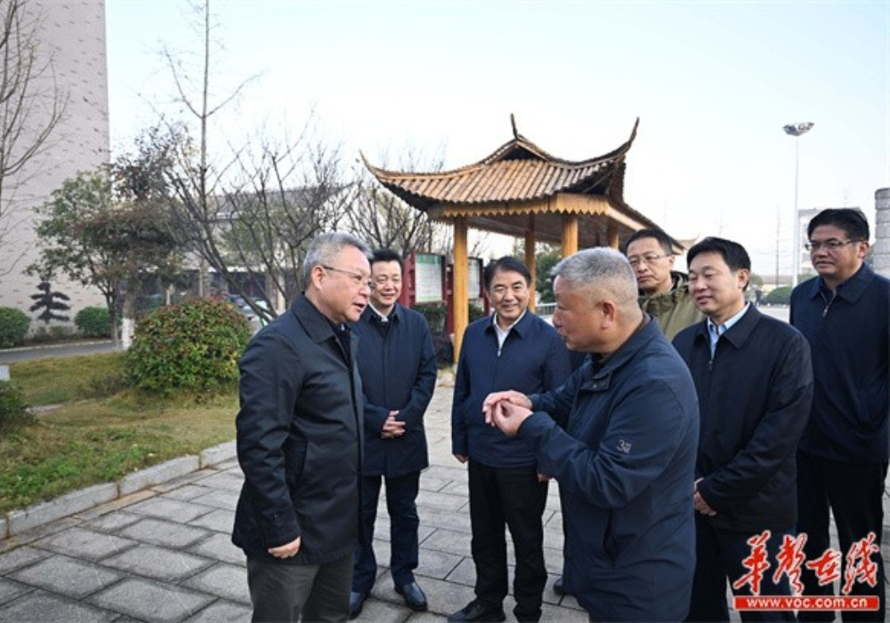 沈晓明在岳阳调研
