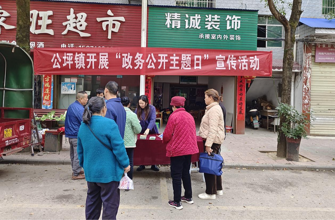 公坪镇开展“政务公开主题日”活动