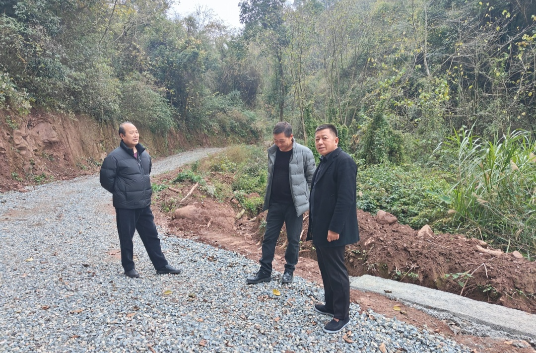 芷江政协工商联界别委员工作室开展环保民主监督活动