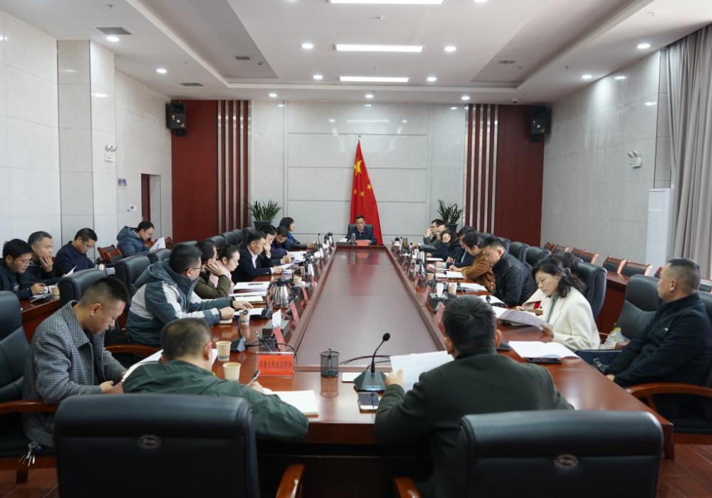 芷江：重大民生实事项目调度会召开