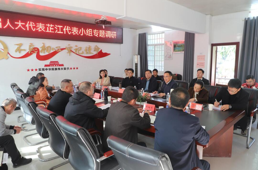 市六届人大代表芷江代表小组专题调研文旅产业