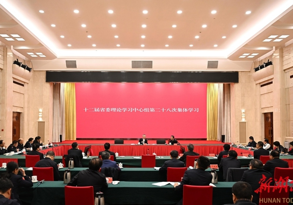 沈晓明：更好推动区域协调发展战略落地落实