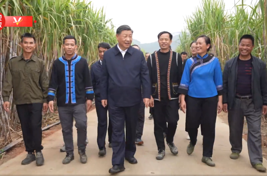 独家视频丨习近平在广西来宾市考察调研