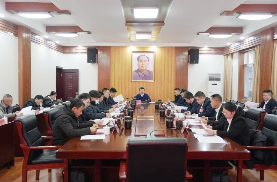 芷江侗族自治县第九届人民代表大会第三次会议开展分团活动