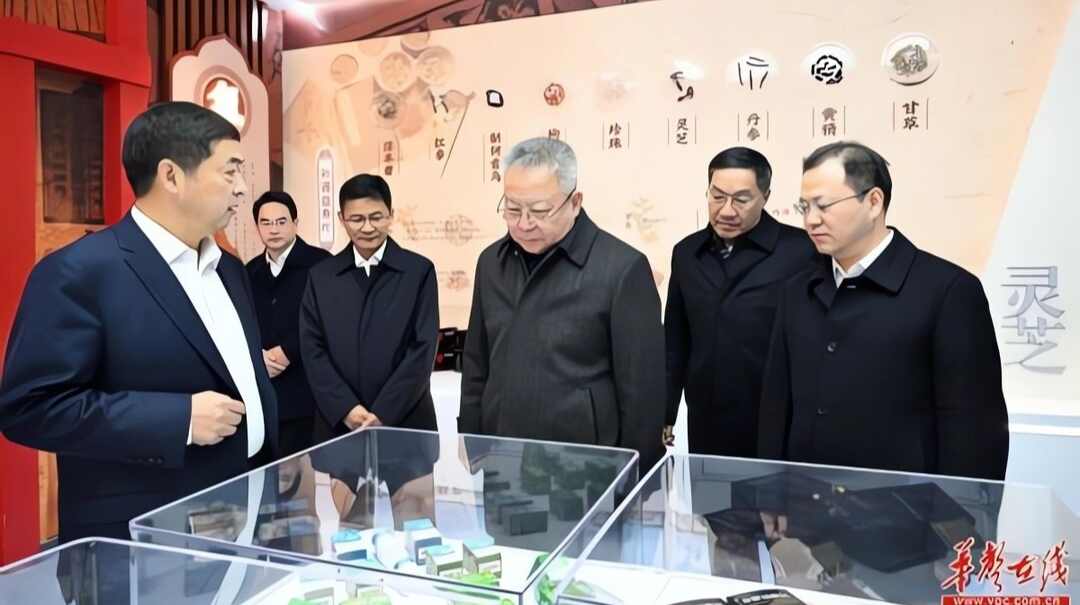 沈晓明：推动高质量发展取得更大成效