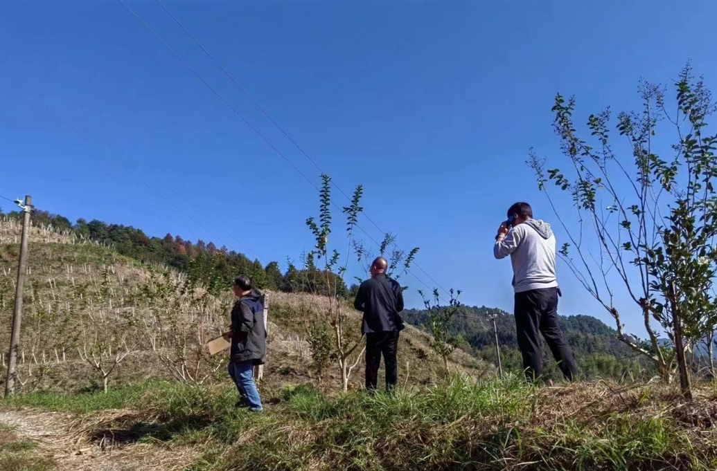 芷江：以森林督查为抓手 推动县域生态持续向好