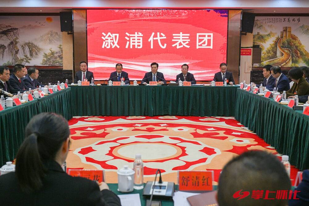 黎春秋参加溆浦和芷江代表团审议