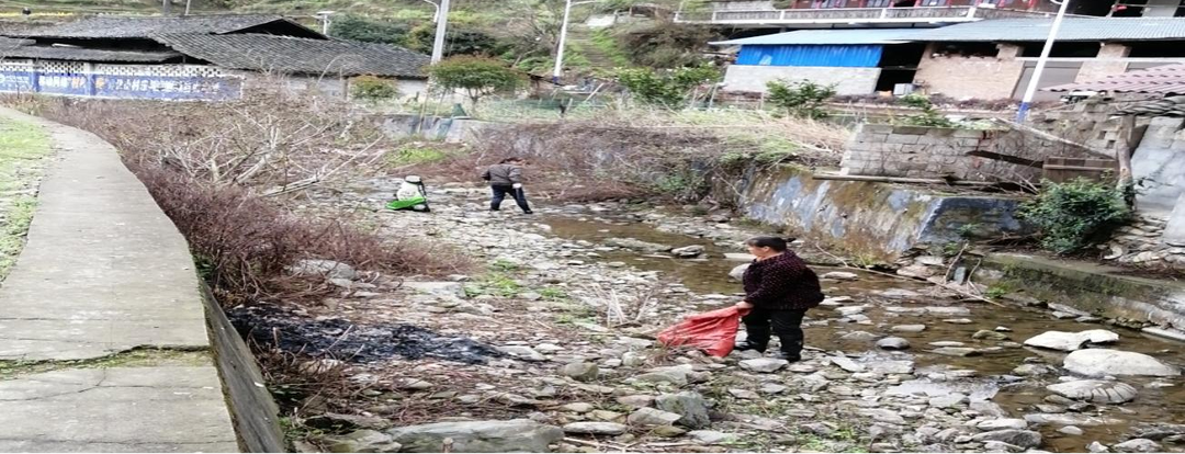 碧涌镇：开展水域集中治理 共筑生态宜居小镇