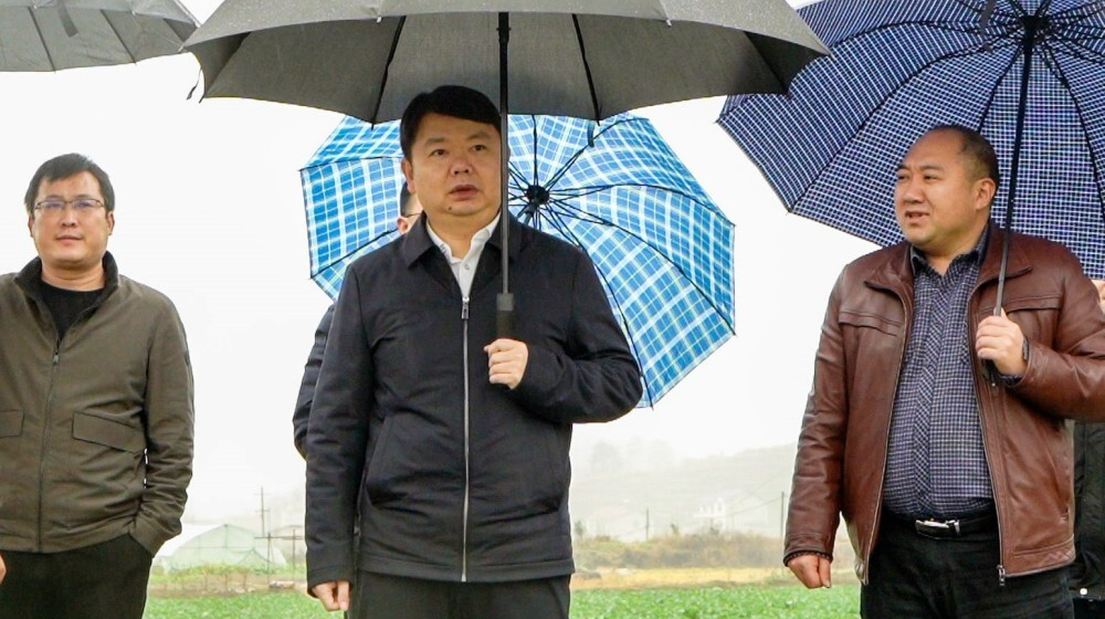 县四大家领导深入各乡镇督导耕地流出问题整改恢复工作