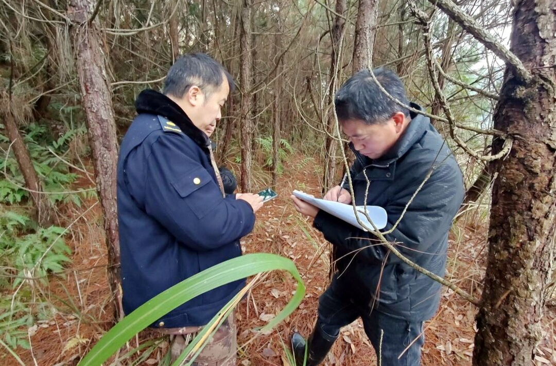 大树坳乡：做足生态绿色文章  让“撂荒地”变“聚宝盆”