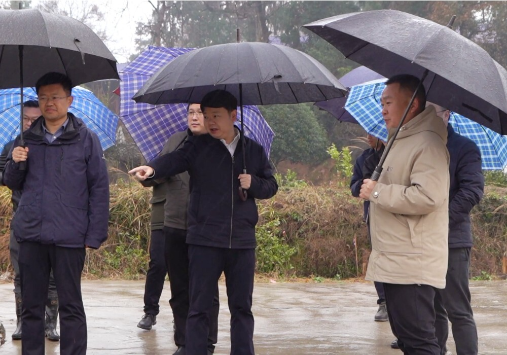 梁志平深入岩桥镇、罗旧镇督导耕地流出问题整改恢复工作