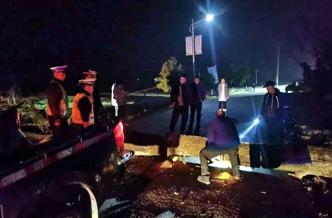 打好安全生产翻身仗丨土桥镇：枯树拦路砸断电 警民合作保畅通