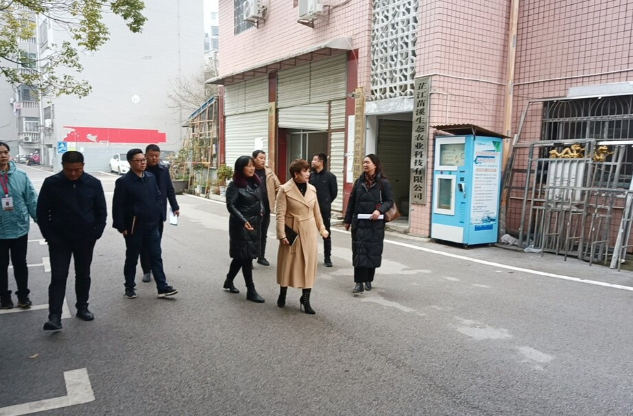 杨桂花调研指导城区环境卫生整治工作