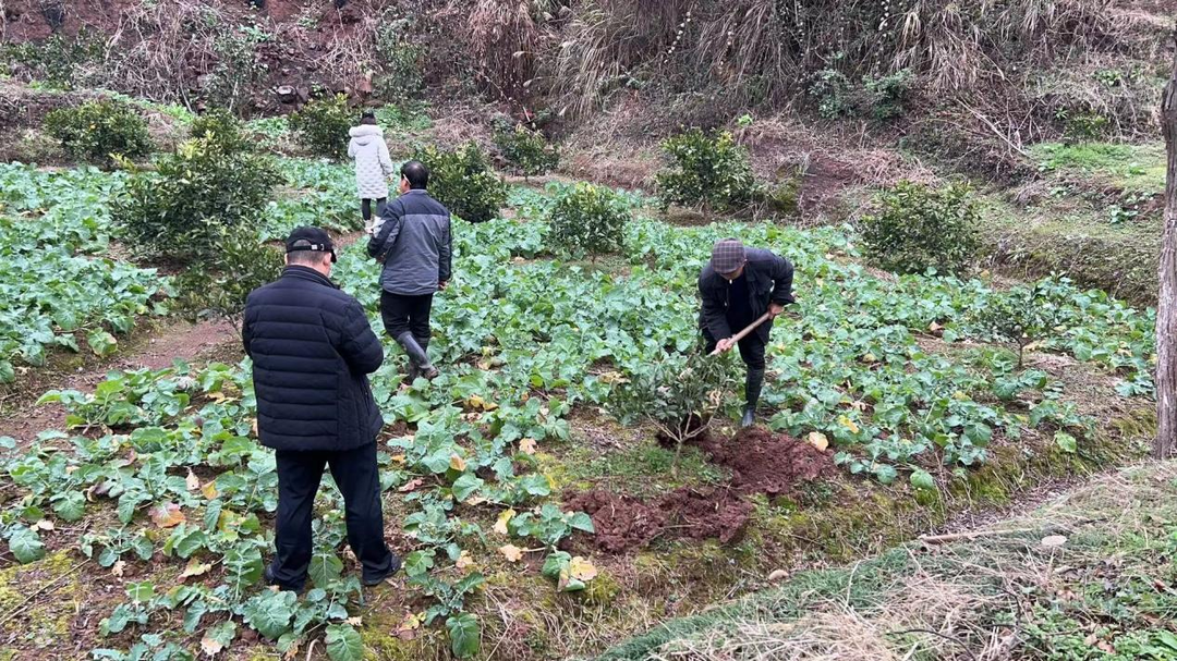 楠木坪镇：多措并举落实最严格的耕地保护制度