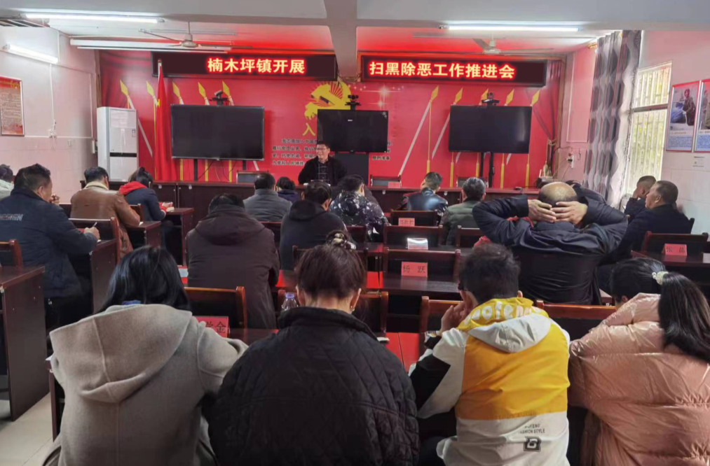 楠木坪镇：加强扫黑除恶  守护群众平安