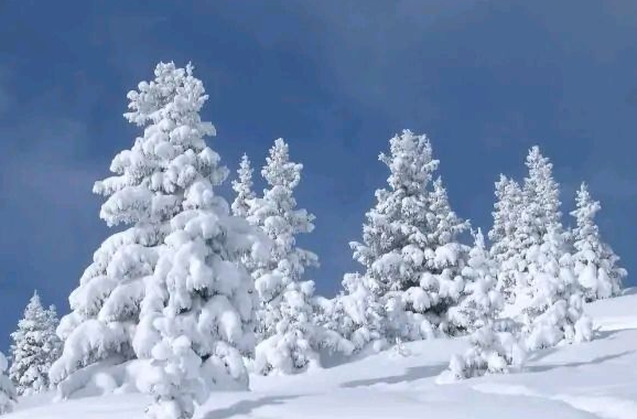 ҈大҈暴҈雪҈！这里将迎今冬来最强降雪！真正的严冬来了→